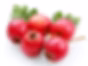 Hawthorn Berry
